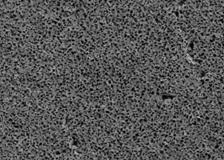 1000x_cross_section.jpg 1000x_cross_section.jpg
